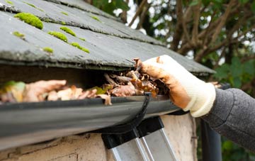 gutter cleaning Hodgeton, Angus