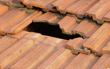 roof repair Hodgeton, Angus